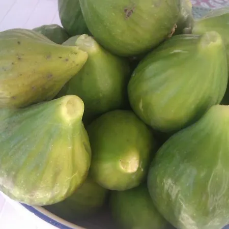 Trulli La Casa Di Rosa Отель типа 