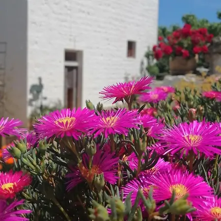 Trulli La Casa Di Rosa 3* Альберобелло
