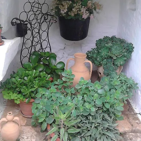 Trulli La Casa Di Rosa 3*