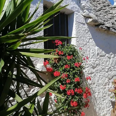 Panzió Trulli La Casa Di Rosa