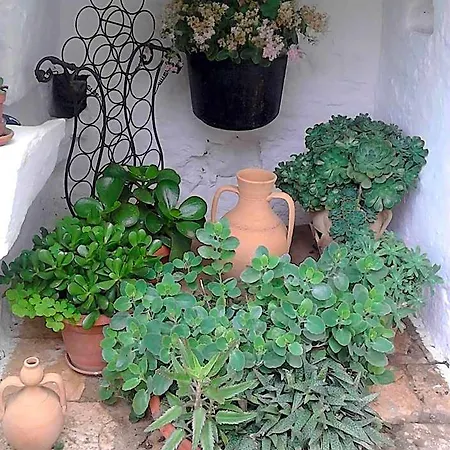 Nocleg ze śniadaniem Trulli La Casa Di Rosa 3*