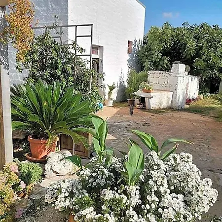 Nocleg ze śniadaniem Trulli La Casa Di Rosa