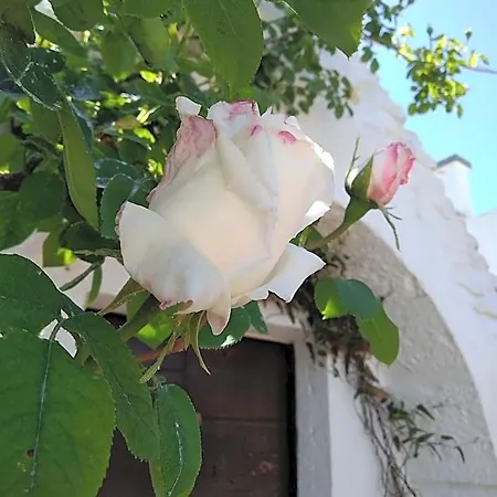 Trulli La Casa Di Rosa 3*