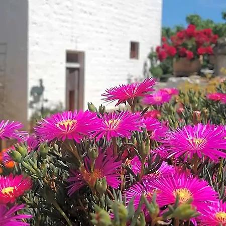 Trulli La Casa Di Rosa 3* Alberobello