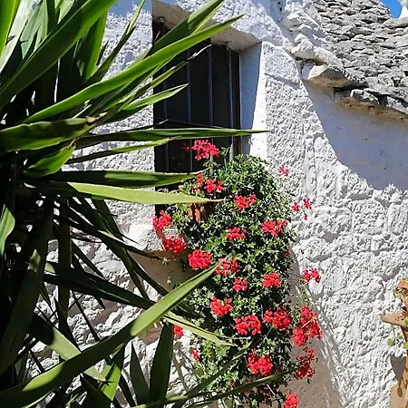 Panzió Trulli La Casa Di Rosa Alberobello
