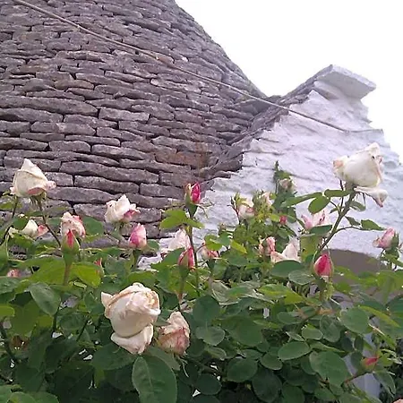 Trulli La Casa Di Rosa