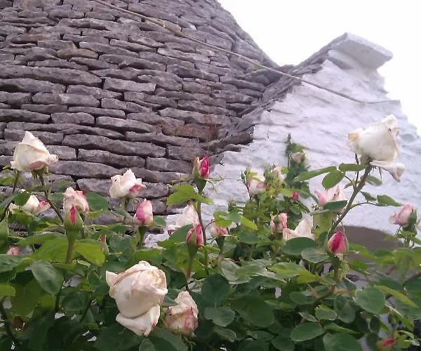 Trulli La Casa Di Rosa 3* Alberobello