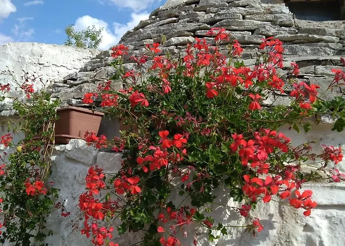 Couette-café Trulli La Casa Di Rosa Alberobello