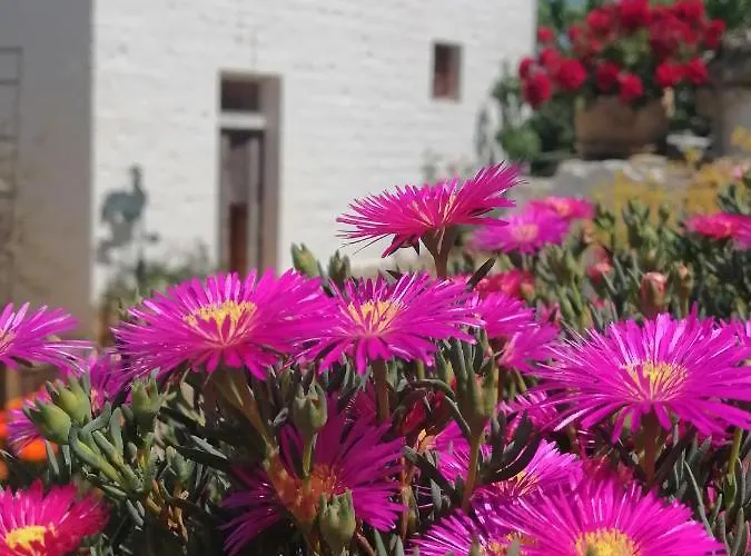 Trulli La Casa Di Rosa 3* Alberobello